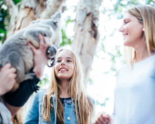 koala-with-handler-and-children-at-dreamworld-corroboree-(1)