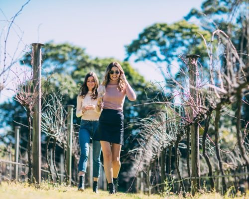 mount-tamborine-two-women-walking-through-vineyard-at-witches-falls-winery-(1)