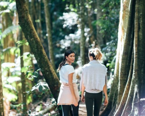 mount-tamborine-women-walking-witches-fall-bush-walk