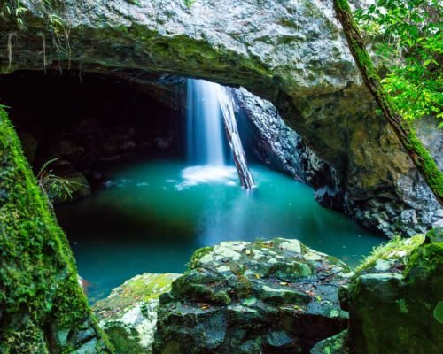 the-natural-bridge-springbrook-national-park